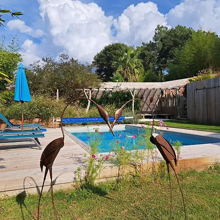 Vila Hossegor - 4 Etoiles, 6 - 5 Salles De Bains - Piscine Chauffee 5 Mn Des Plages