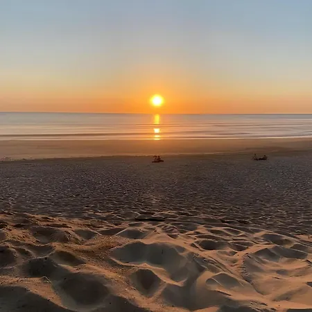 Hossegor - 4 Etoiles, 6 - 5 Salles De Bains - Piscine Chauffee 5 Mn Des Plages Vila *