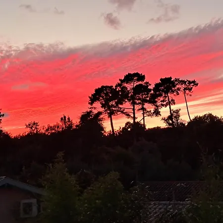 Hossegor - 4 étoiles, 6 - 5 Salles De Bains - Piscine Chauffée 5 Mn Des Plages Villa Soorts-Hossegor